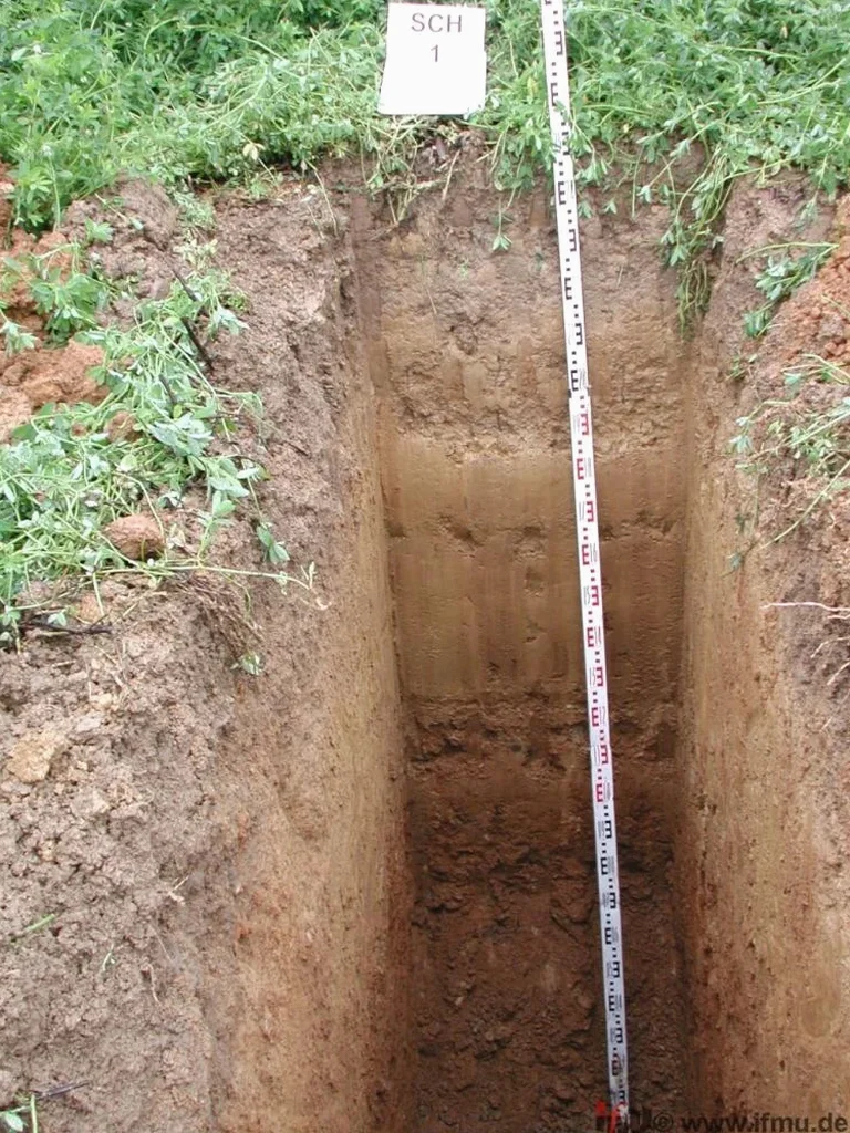 Exploratory Test Pits in Arlington — Stratigraphic Verification for Foundation Design