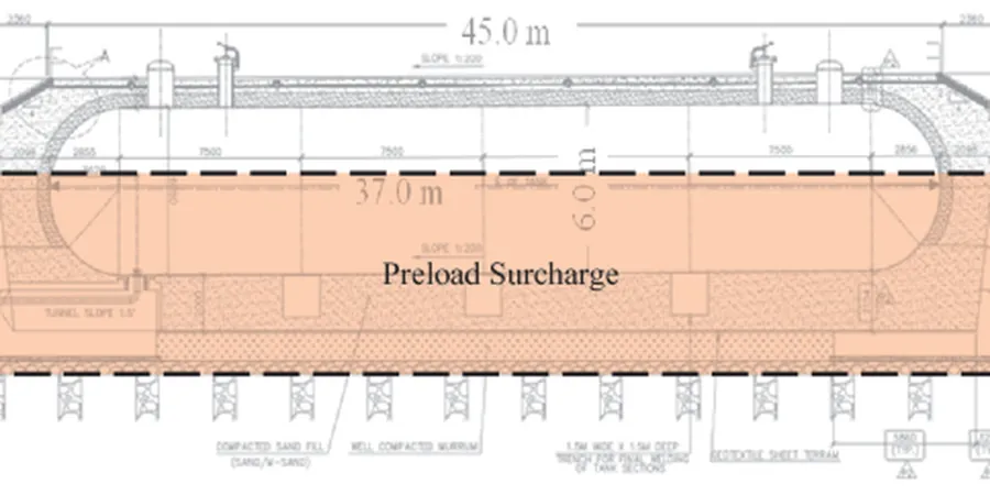 Illustrative image of Precarga in Arlington